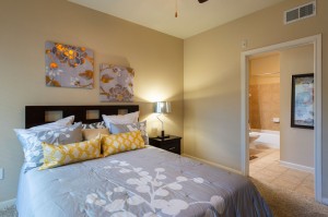 One Bedroom Apartments for Rent in Katy, TX - Bedroom with view of Bathroom 